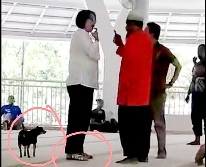 Anjing Suzethe Margaret Mati Polisi Tak Mengurusi Anjing Tapi