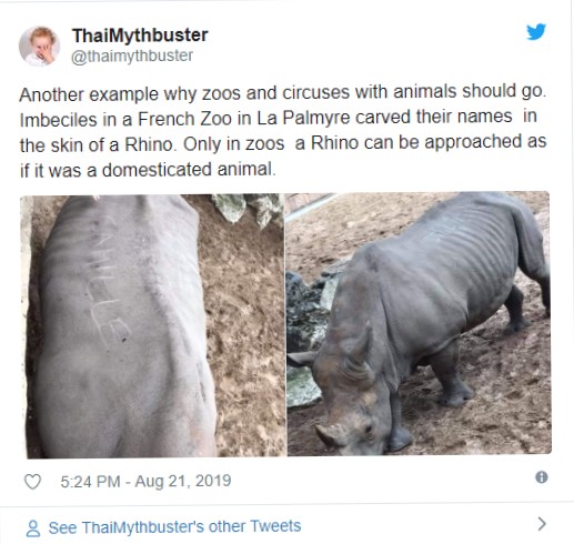 450 Gambar Hewan Badak Bercula 1 Terbaru