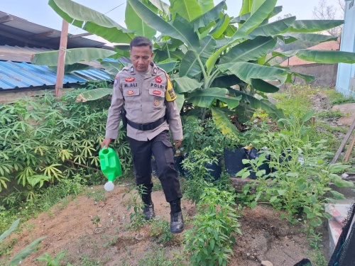 Perkuat Ketahan Pangan Nasional, Polsek Lubuk Baja Sulap Lahan Tidur Jadi Sentra Pangan Produktif