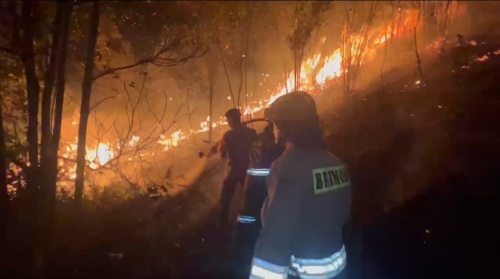 Api Hanguskan 35 Hektar Lahan di Sagulung 
