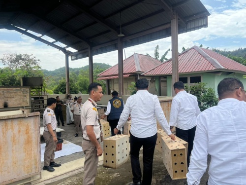 Langgar Aturan Karantina, 50 Ekor Ayam Bangkok Dimusnahkan