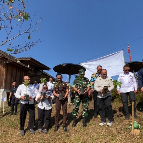 Tanam Alpukat Siger dan Apel Persia, IJTI Sumatera Dukung Konservasi Lampung Barat