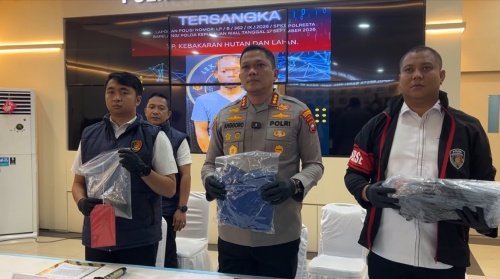 Diduga Bakar Rayap, Pria di Batam Jadi Tersangka Kebakaran 10 Hektare Lahan