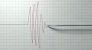 Gempa Berkekuatan 4,9 SR guncang Jayapura