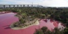 UNIK, Air di Danau Ini Berubah Menjadi 'Pink'