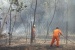 Satu Hektar Hutan Bandara Hang Nadim Diseberang Villa Pesona Asri Terbakar