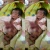 Bayi yang Lahir dengan Usus di Luar, Akhirnya Meninggal Dunia 