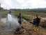 Banyak PNS Lingga Tak Ngantor Akibat Goro di Sawah