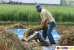 Perlu Anda Tahu, Betapa Menderitanya Petani!!Selamatkan Nasib Mereka!!!