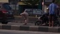 Tanpa Gunakan Sajadah, Pria Ini Salat Di Tengah Jalan 