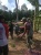 Kodim 0315/Bintan Melalui Koramil 04/Dabo Bantu Pengairan Sawah Warga