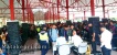 Tiga perusahaan Buka lowongan, Ratusan pencaker Kerumuni Batamindo