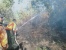Sumber Air Tidak Ada, Manggala Agni Daops Batam Kesulitan Memadamkan Kebakaran Hutan Lindung 
