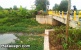 Kotor Dan Bau, Itulah Gambaran Drainase Induk Di Simpang Kavling Baru