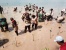 Pecahkan Rekor Muri Tanam Mangrove Diikuti 1000 Personel TNI POLRI, Pemerintah Dan Masyarakat
