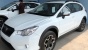 Ini Cara Urus Surat Mobil Bodong Hasil Lelang