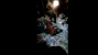 Viral Video Sortir Masker di Lantai Rumah dan Diinjak-injak, Ini kata Para Netizen