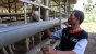 Jadi Agen Global Qurban - ACT, Luaskan Kebaikan