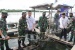 Lantamal IV Gelar Panen Raya Ikan Kerapu KJA