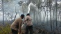 Tanggap Bencana, Brimob Polda Kepri Bantu Padamkan Kebakaran Hutan Bandara Hang Nadim