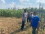 Sambil Basembang Bercerite, Kapolres Cek Kampung Tangguh di Desa Tapaya Asri