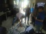 Kurir Benih Lobster Ditangkap Polisi di Batam