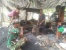 Komsos Satgas TMMD di Sekitar Lokasi TMMD HST