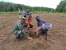 Lantamal IV Bersama BBKSDA Melaksanakan Penanaman Pohon di Hutan Konservasi.