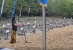 Kelompok Aktivis Akar Bhumi Ramaikan Penanaman Mangrove Secara Serentak di Seluruh Indonesia 