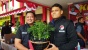 Tanam Ganja di Halaman Rumah dan Simpan 23,4 Kg Sabu, 14 Orang di Batam Ditangkap Polisi