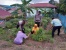 Polsek Bulang Panen Sayur Hasil Perkebunan
