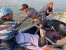 TNI AL Bersama Masyarakat Temukan 3 Orang Jenazah Korban Laka Laut Speed Boat 