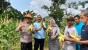 Polsek Sekupang Panen Raya Jagung di Tanjung Pinggir