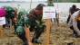 Wadan Kodaeral IV Hadiri Penanaman Pohon Mangrove di Kampung Teri Sambau