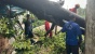 Gerak Cepat Tim Satgas Tanggulangi Dampak Angin Kencang di Batam