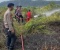 Lahan di Perumahan Gesya Marina Batam Terbakar, Brimob Polda Kepri Padamkan Api Dengan Cepat
