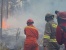 Sehari Dua Kebakaran, SAR Brimob Polda Kepri Padamkan Api di Hutan Sei Temiang