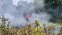 Polisi Cek Lokasi Dugaan Kebakaran Lahan di Setokok